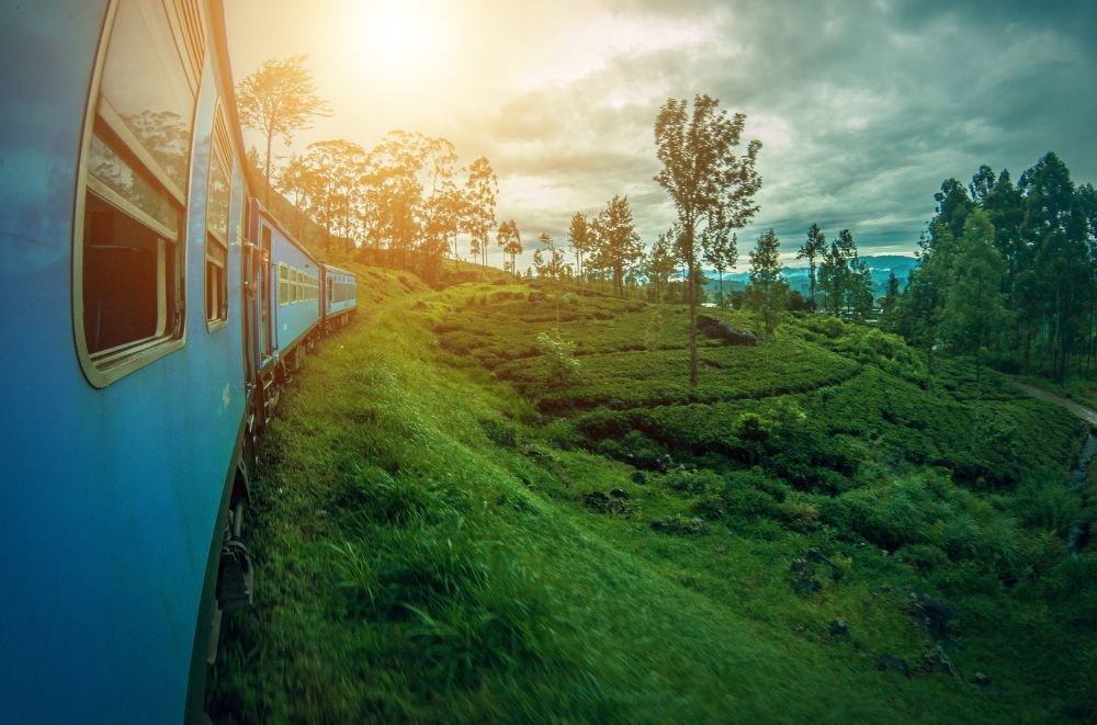 train during sunset